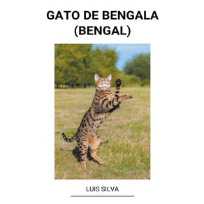 Gato-de-Bengala--Bengal-