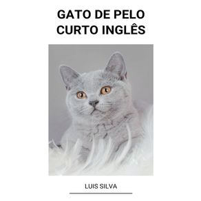 Gato-de-Pelo-Curto-Ingl--234-s