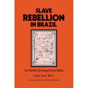 Slave-Rebellion-in-Brazil