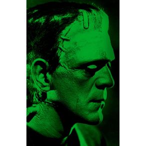 Frankenstein--2509-