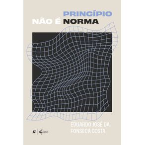 Principio-nao-e-norma