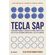 Tecla-SAP--traduzindo-financas-e-negocios-de-forma-simples-para-voce aplicar-no-mundo-empresarial-e-na-sua-car