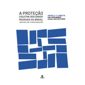 A-protecao-coletiva-dos-dados-pessoais-no-Brasil:-vetores-de-interpretacao