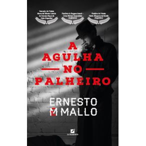 A-Agulha-no-Palheiro