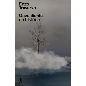 Gaza-diante-da-historia-3010-