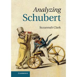 Analyzing-Schubert