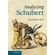 Analyzing-Schubert