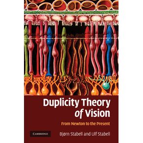 Duplicity-Theory-of-Vision