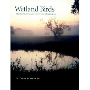 Wetland-Birds