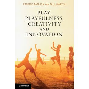 Play,-Playfulness,-Creativity-and-Innovation