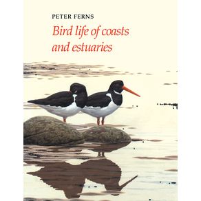 Bird-Life-of-Coasts-and-Estuaries