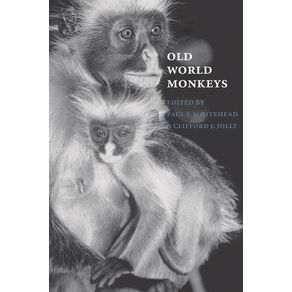 Old-World-Monkeys