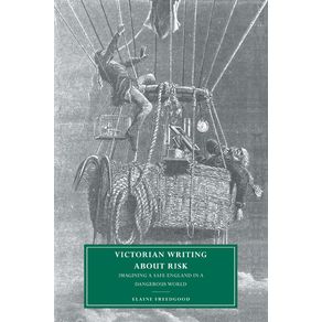 Victorian-Writing-about-Risk