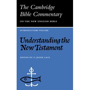Understanding-the-New-Testament