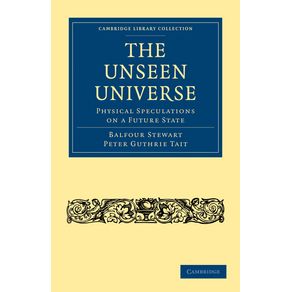 The-Unseen-Universe