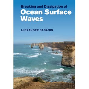 Breaking-and-Dissipation-of-Ocean-Surface-Waves