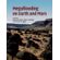 Megaflooding-on-Earth-and-Mars