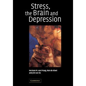Stress,-the-Brain-and-Depression