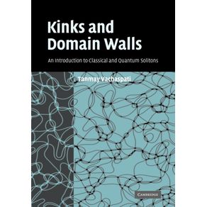 Kinks-and-Domain-Walls