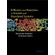 Diffusion-and-Reactions-in-Fractals-and-Disordered-Systems