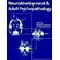 Neurodevt---Adult-Psychopathology