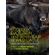 Ecology,-Evolution-and-Behaviour-of-Wild-------------Cattle