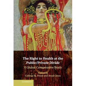 The-Right-to-Health-at-the-Public/Private-------------Divide