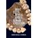 What-Teeth-Reveal-about-Human-Evolution