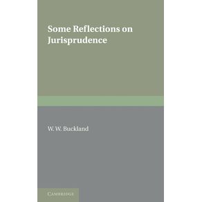 Some-Reflections-on-Jurisprudence