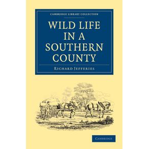 Wild-Life-in-a-Southern-County