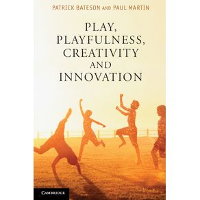 Play,-Playfulness,-Creativity-and-Innovation