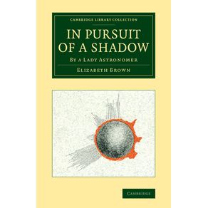 In-Pursuit-of-a-Shadow