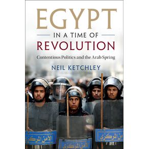 Egypt-in-a-Time-of-Revolution