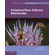Evolution-of-Plant-Pollinator-Relationships