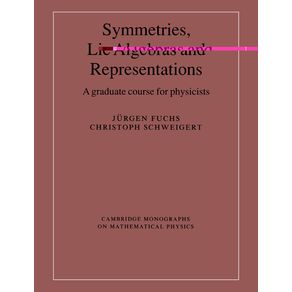 Symmetries,-Lie-Algebras-and-Representations