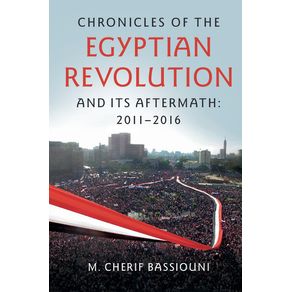 Chronicles-of-the-Egyptian-Revolution-and-its-Aftermath