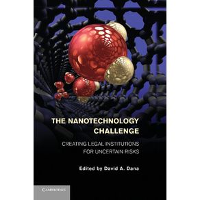 The-Nanotechnology-Challenge