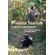 Primate-Tourism