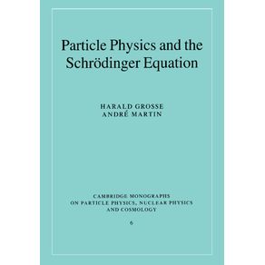 Particle-Physics-and-the-Schr-Dinger-Equation