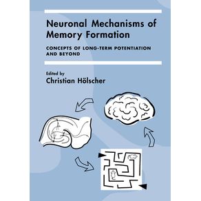 Neuronal-Mechanisms-of-Memory-Formation