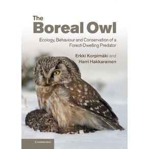 The-Boreal-Owl