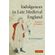 Indulgences-in-Late-Medieval-England