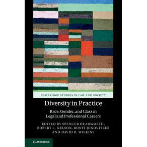Diversity-in-Practice