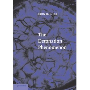 The-Detonation-Phenomenon