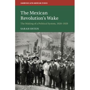 The-Mexican-Revolutions-Wake
