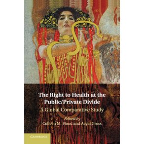 The-Right-to-Health-at-the-Public/Private-Divide