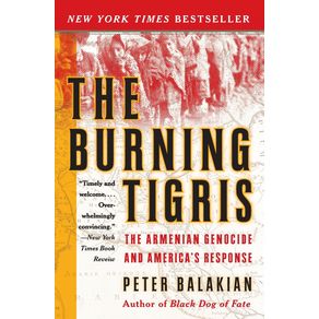 The-Burning-Tigris