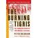 The-Burning-Tigris