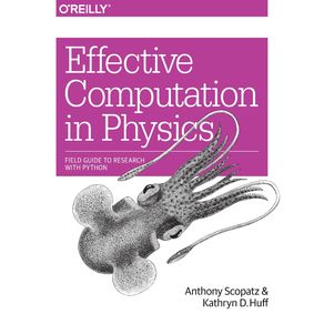 Effective-Computation-in-Physics