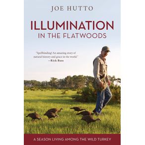 Illumination-in-the-Flatwoods